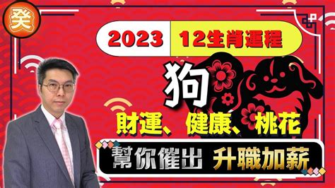 生肖狗2023|【屬狗2023生肖運勢】事業運吉凶參半，桃花運節節。